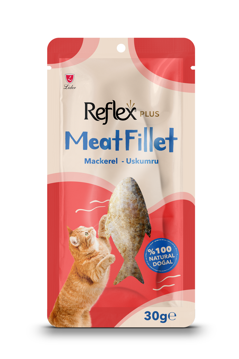 Meat Fillet / Uskumru Balığı Fileto
